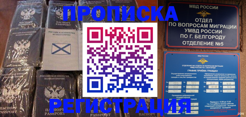 прописка гарантия в Павловском Посаде